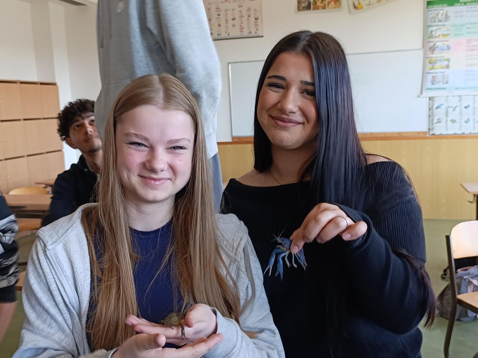 Klepetáči v akci